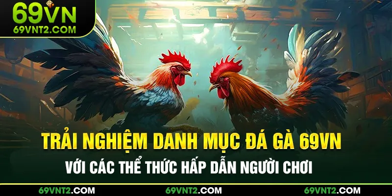 Trải nghiệm danh mục đá gà 69VN với các thể thức hấp dẫn hàng đầu